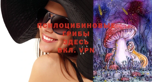 гидропоника Алексеевка