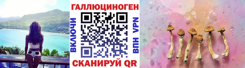 цена наркотик Сочи Галлюциногенные грибы Cubensis